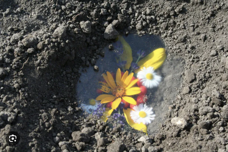 IDEAS: WIDOCZKI, WIKLINA, RECYCLING “FAULTY” LACE